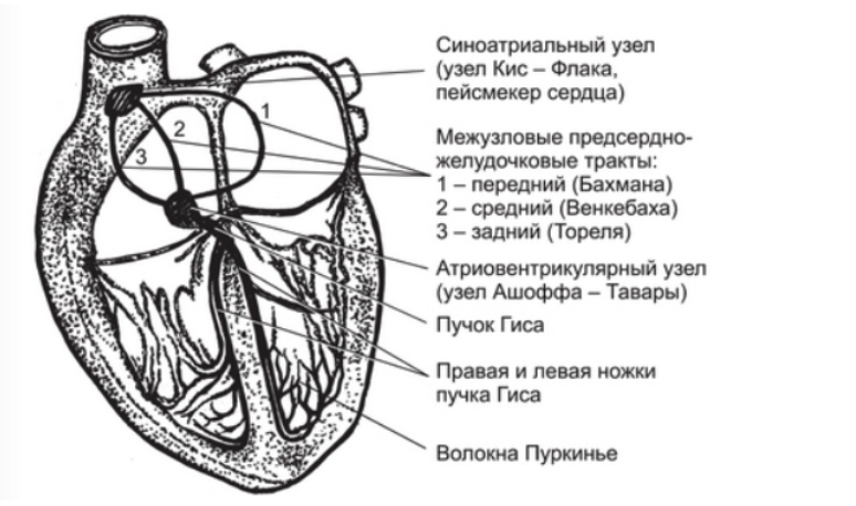 1.png 1.png