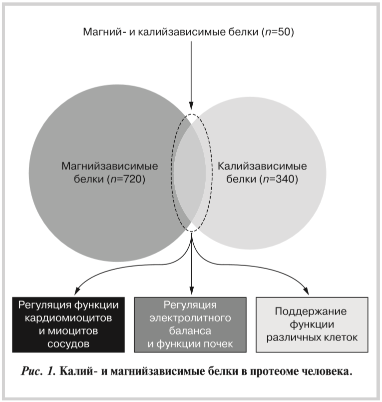2019-10-28_00-51-11.png 2019-10-28_00-51-11.png